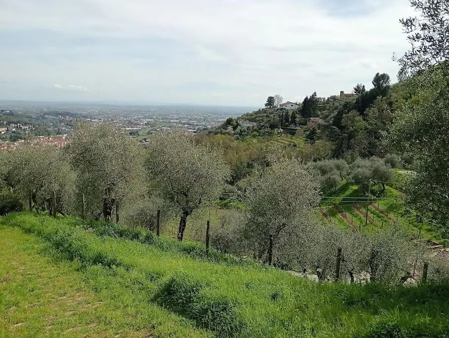 Villa Casa Di Barignano Pescia Ferienhaus