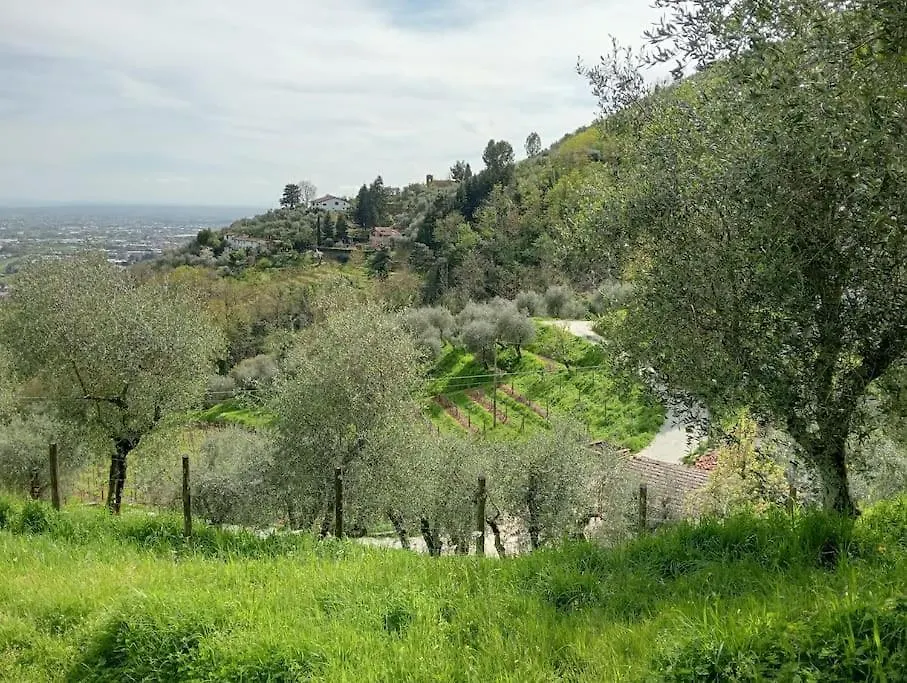 Villa Casa Di Barignano Pescia Ferienhaus