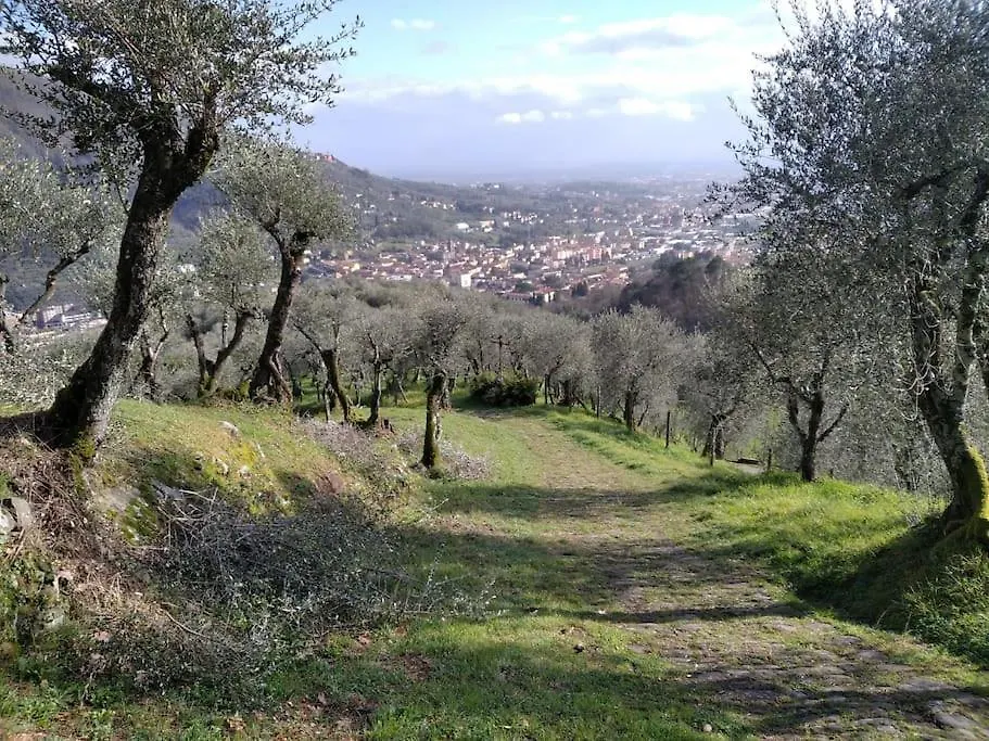 Holiday home Casa Di Barignano Villa Pescia Italy